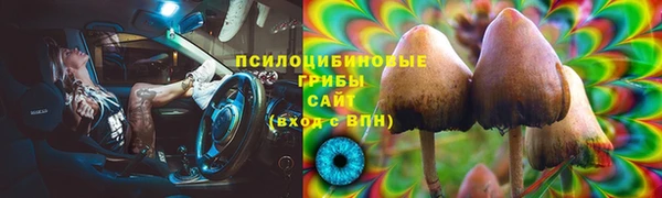 ГАЛЛЮЦИНОГЕННЫЕ ГРИБЫ Балахна