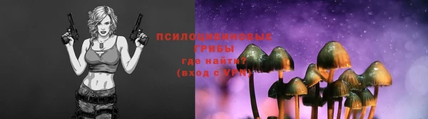 ГАЛЛЮЦИНОГЕННЫЕ ГРИБЫ Балахна