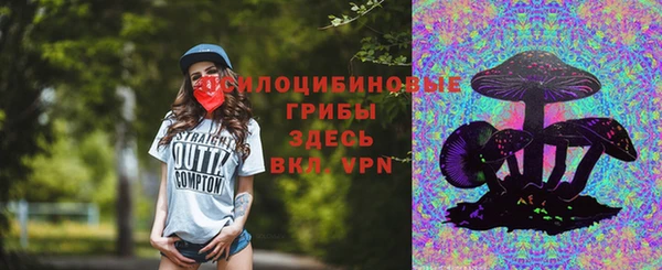 ГАЛЛЮЦИНОГЕННЫЕ ГРИБЫ Балахна