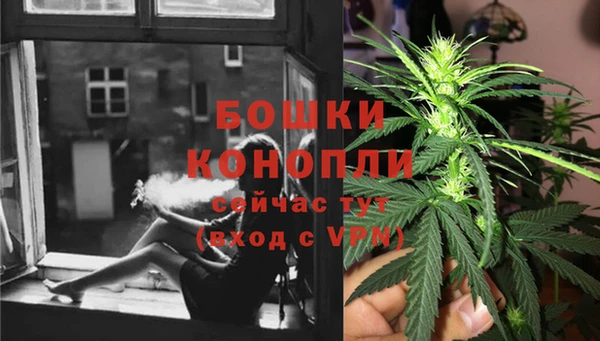 ГАЛЛЮЦИНОГЕННЫЕ ГРИБЫ Балахна