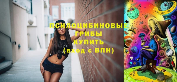 гашик Няндома