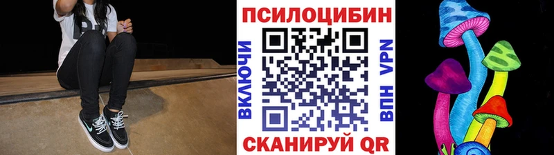 Псилоцибиновые грибы мицелий  купить  сайты  Барабинск 