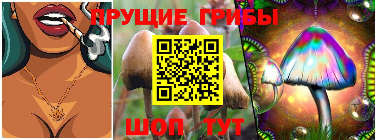 Галлюциногенные грибы Cubensis Барабинск